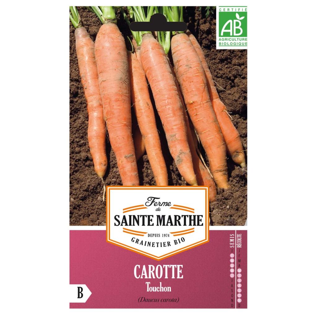 Carotte Touchon Bio - Ferme de Sainte Marthe
