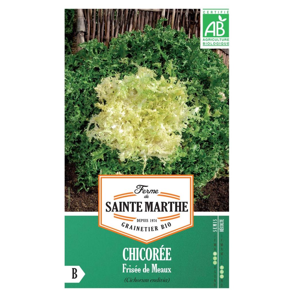 Chicorée frisée De Meaux AB -Ferme de Ste Marthe