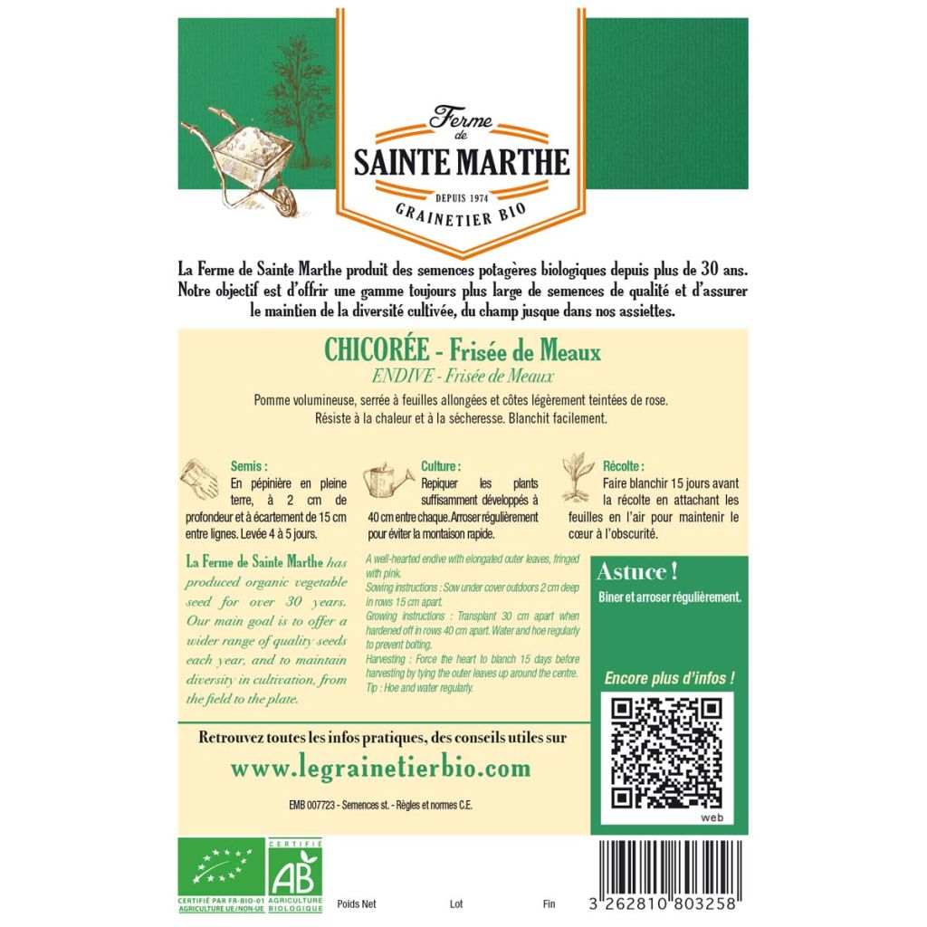Chicorée frisée De Meaux AB -Ferme de Ste Marthe