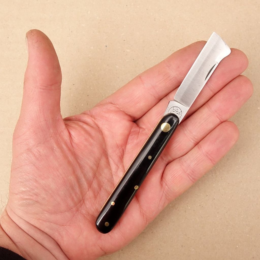 Ecussonnoir à vigne