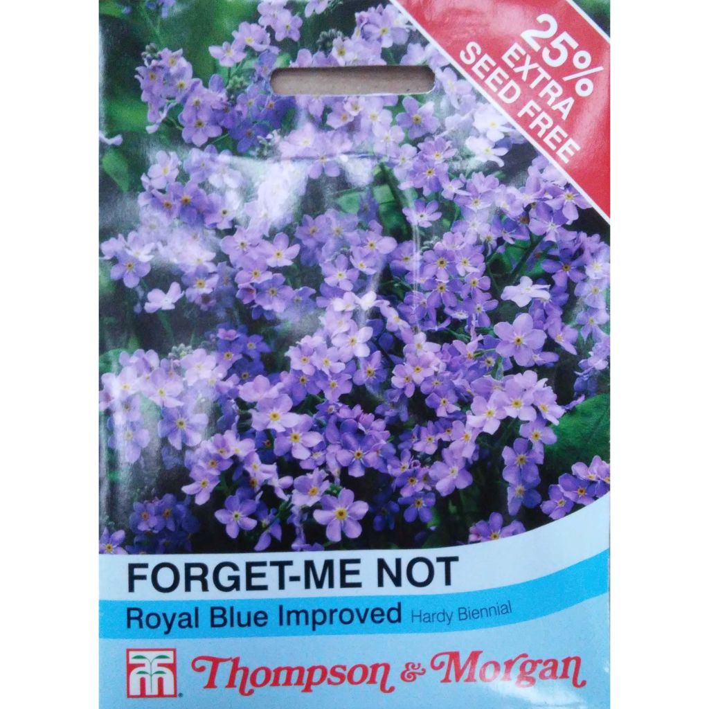 Graines de Myosotis Royal Blue Forget-me-not