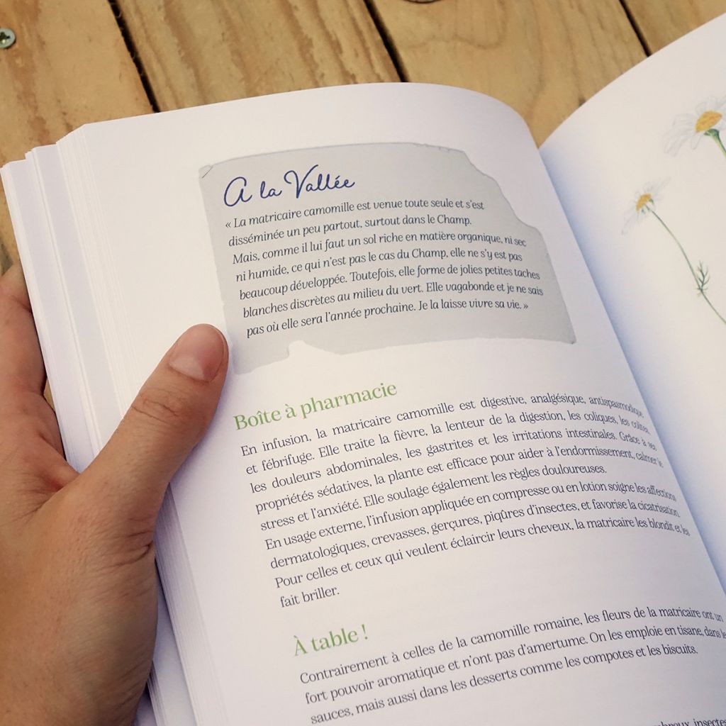 Herbes folles au jardin de Gilles Clément