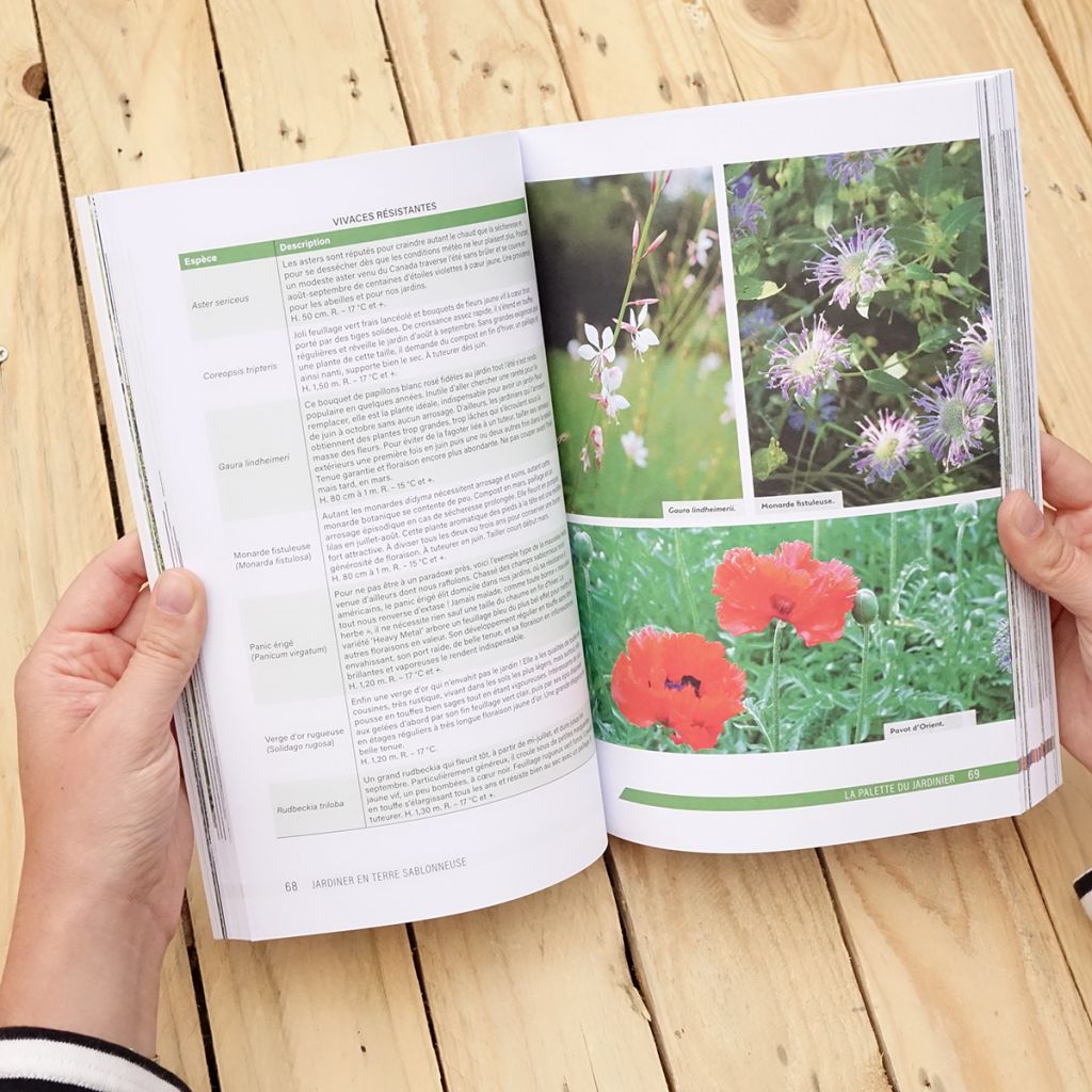 Jardins secs, s’adapter au manque d’eau - Nouvelle édition revue et enrichie
