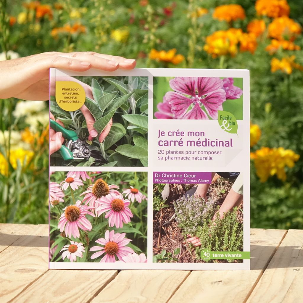 Je crée mon carré médicinal