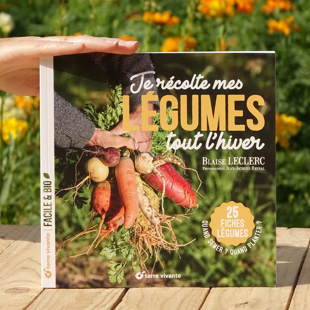 Je récolte mes légumes tout l’hiver