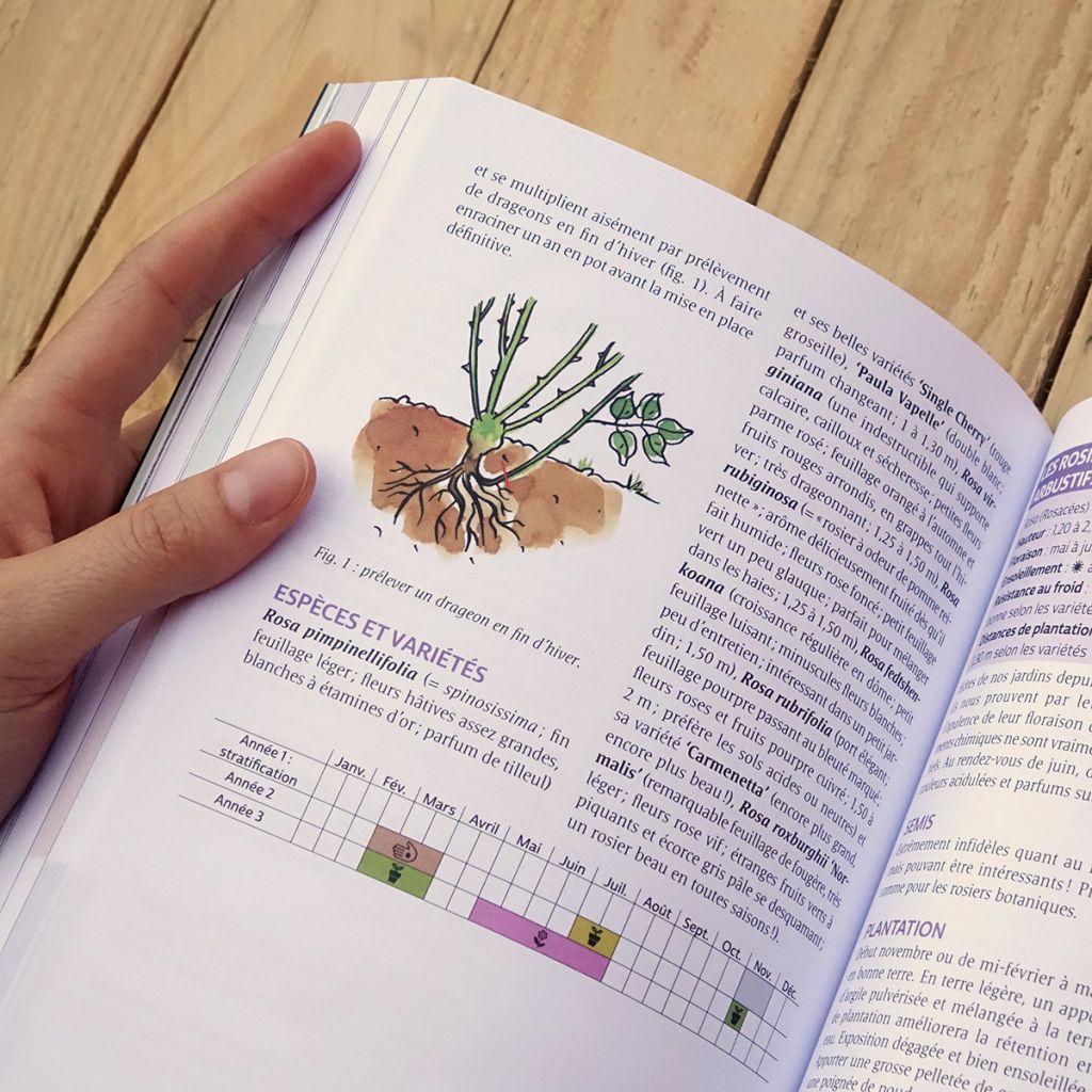 Le guide du jardin bio