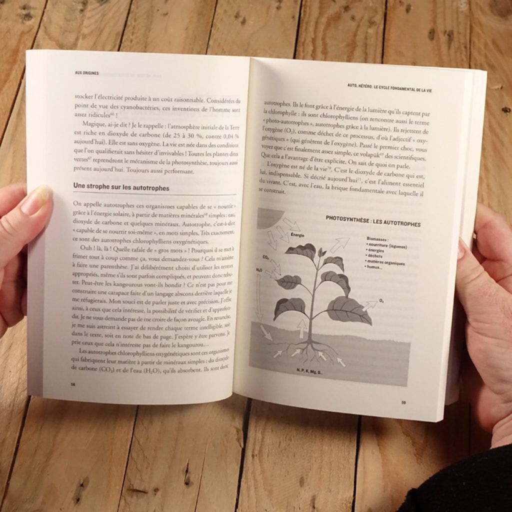 Le Potager du paresseux