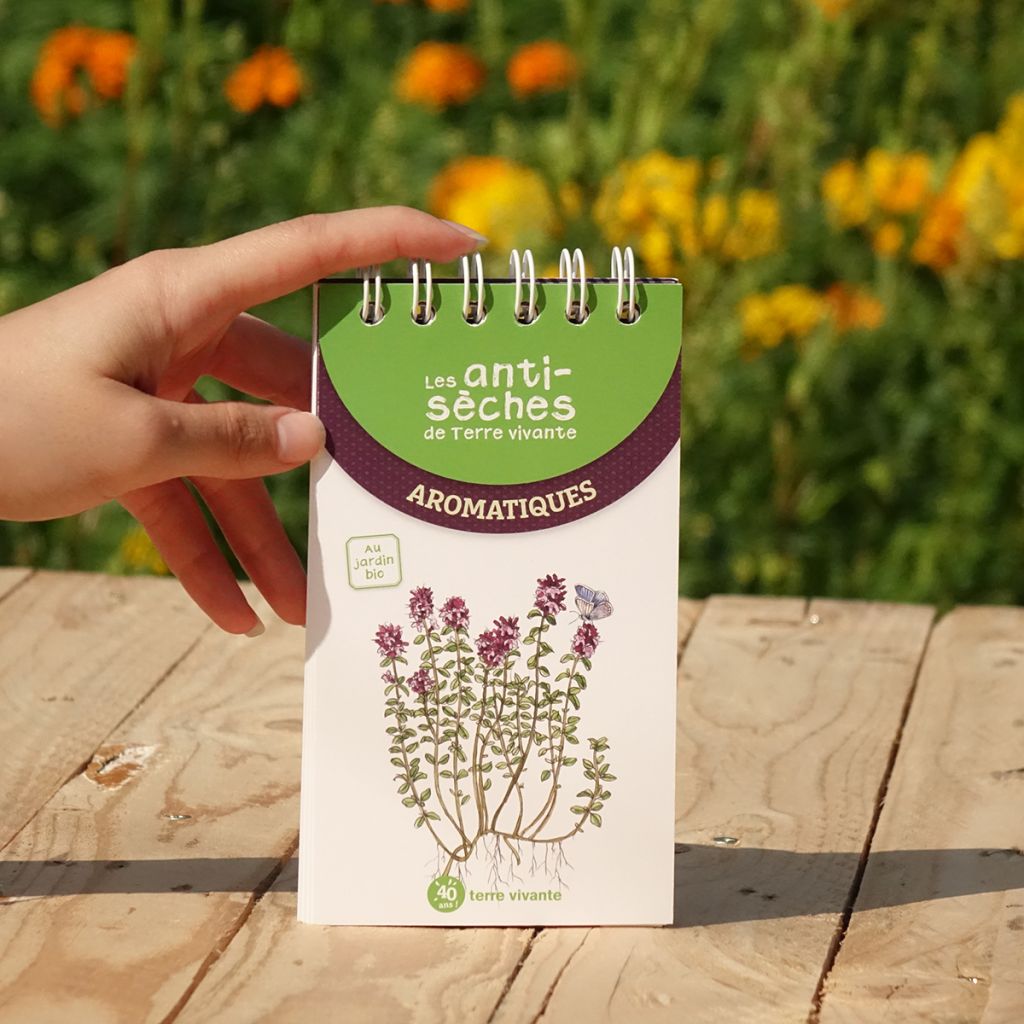 Les antisèches de Terre vivante : Aromatiques