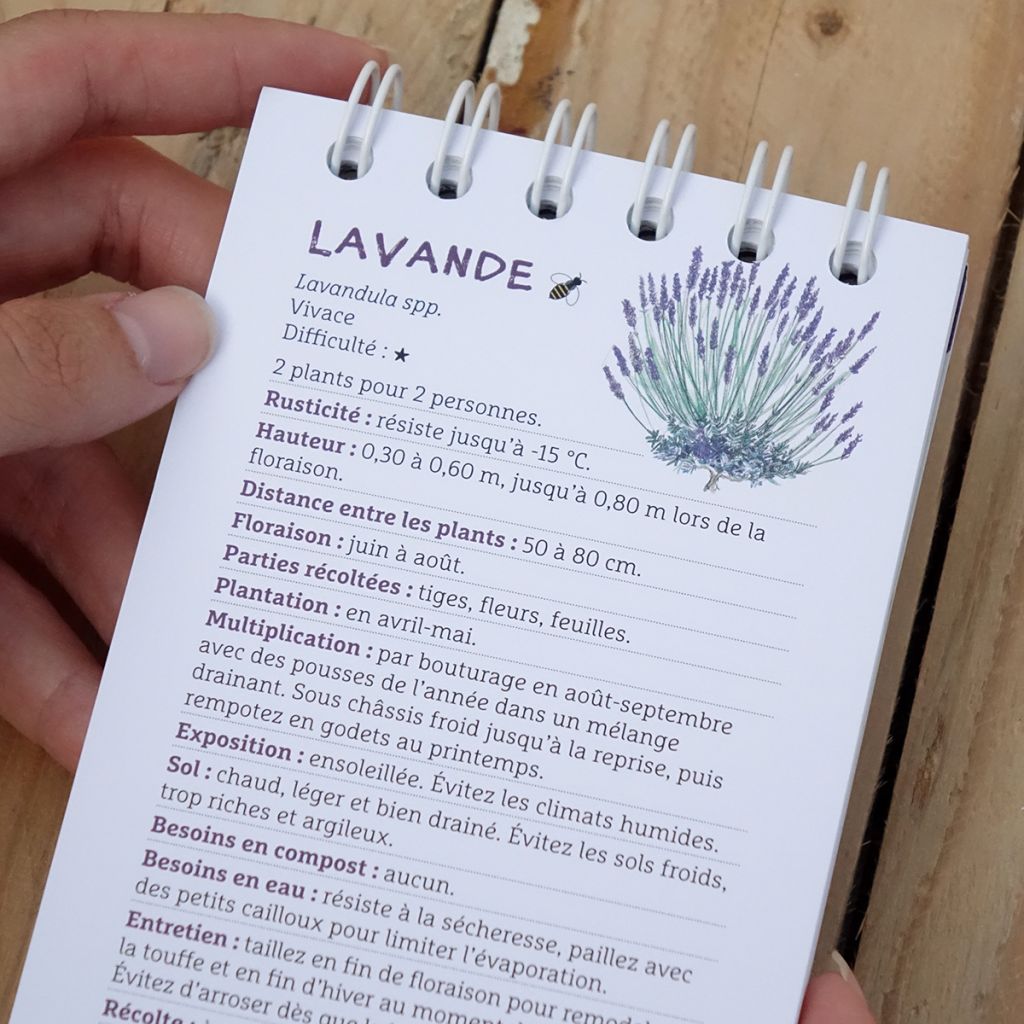 Les antisèches de Terre vivante : Aromatiques