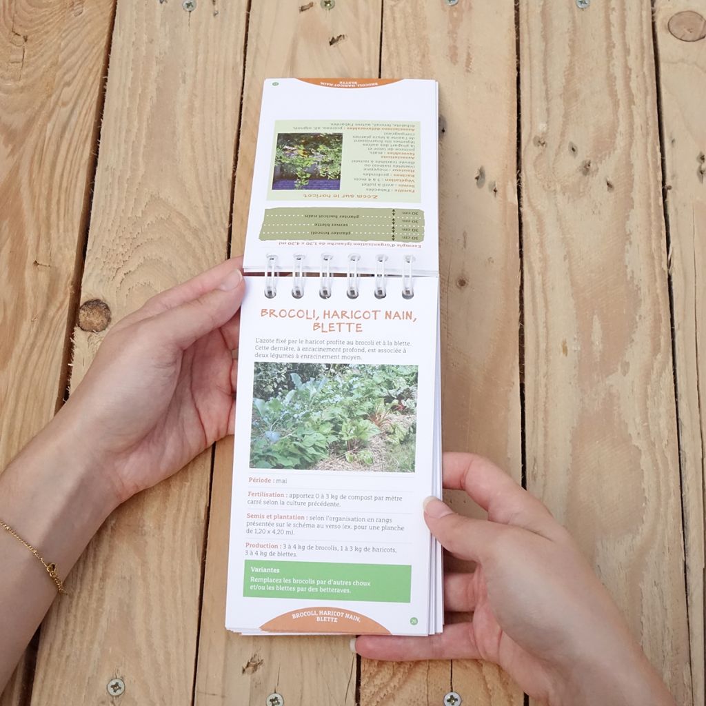 Les antisèches de Terre vivante : Associations au potager