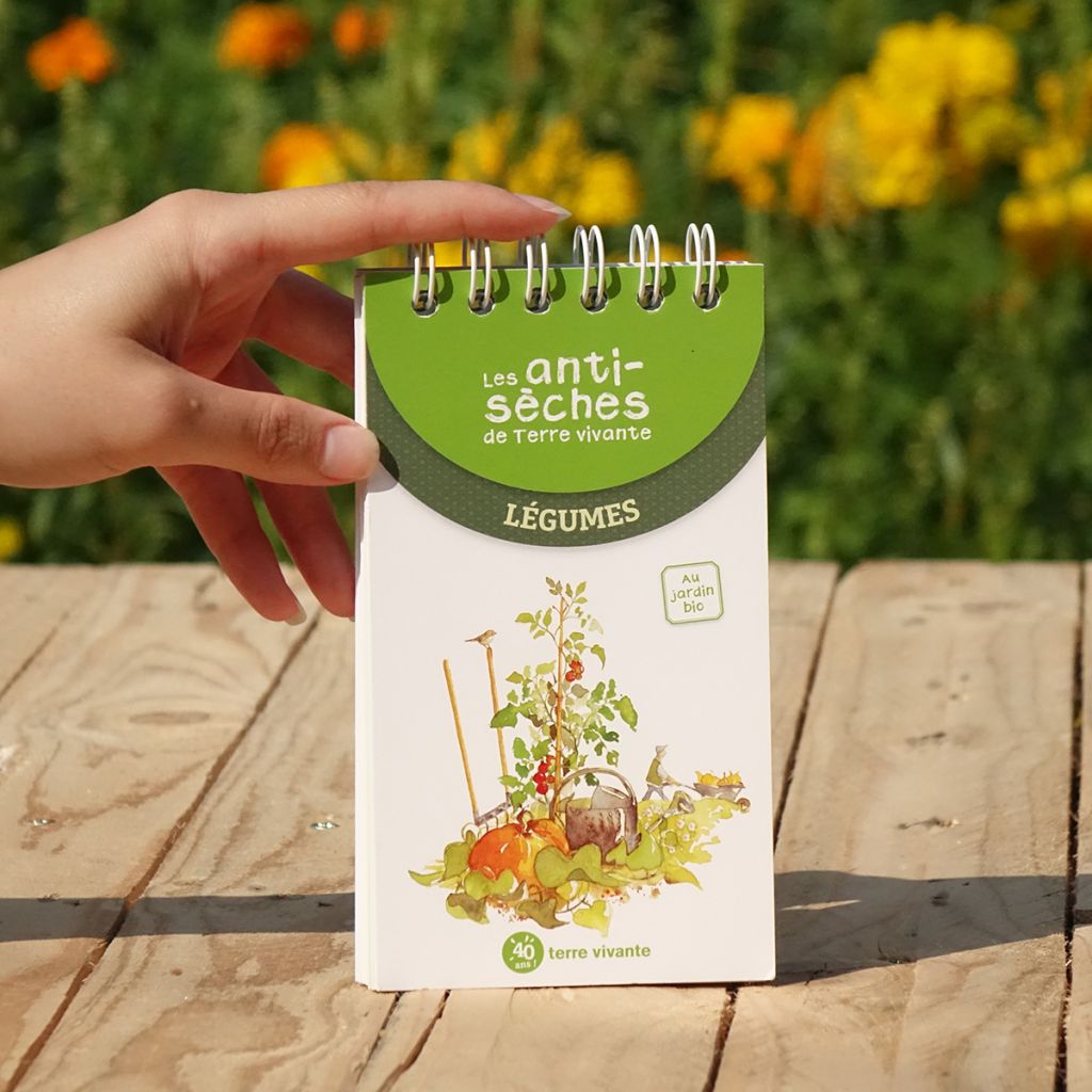 Les antisèches de Terre vivante : Légumes