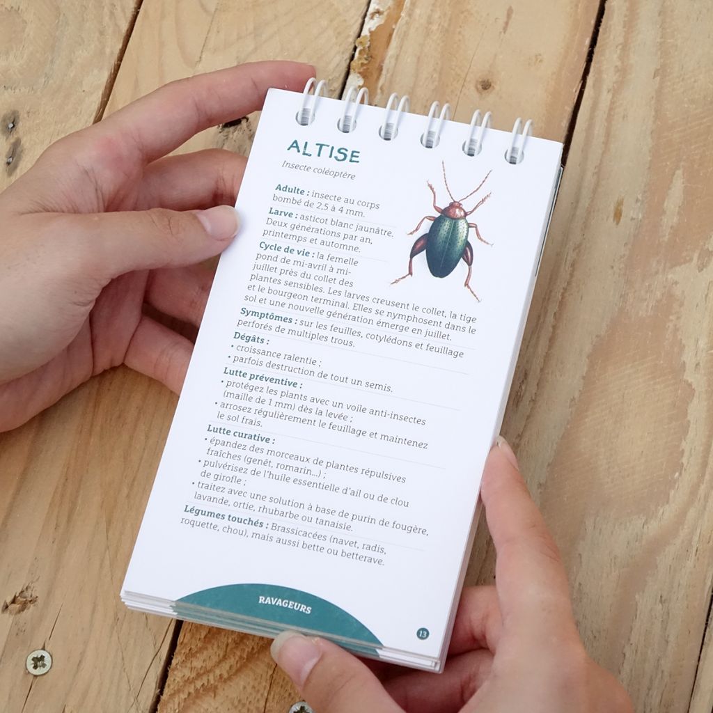 Les antisèches de Terre vivante : Ravageurs & maladies