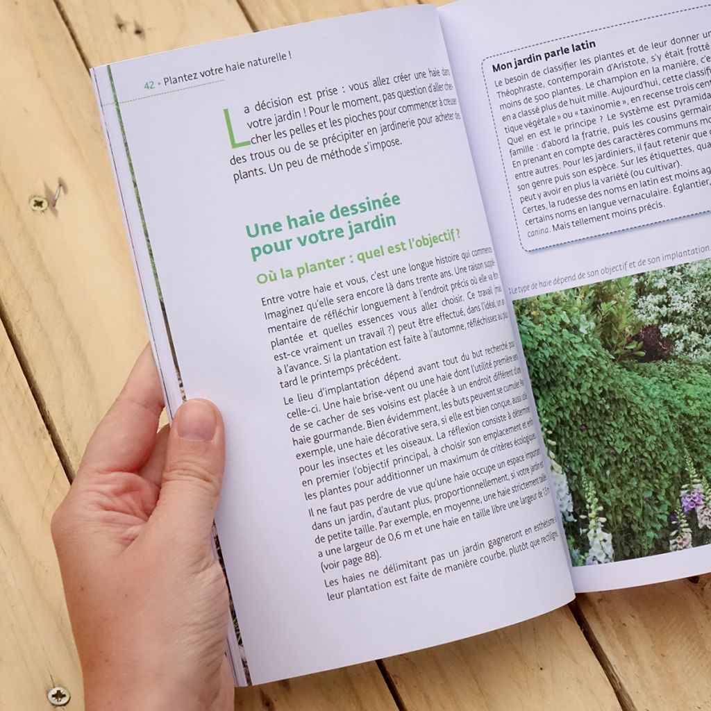 Plantez votre haie naturelle !