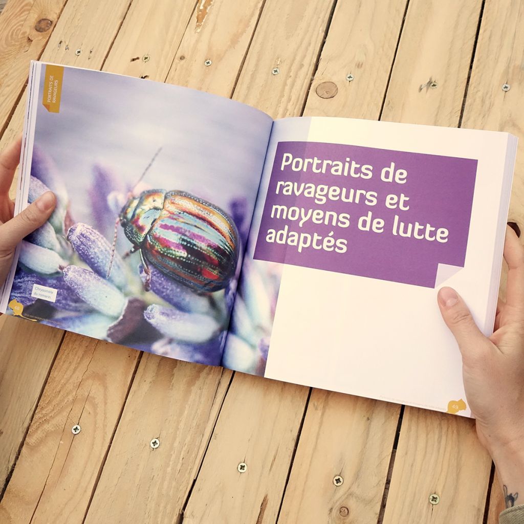 Stop aux ravageurs dans mon jardin !