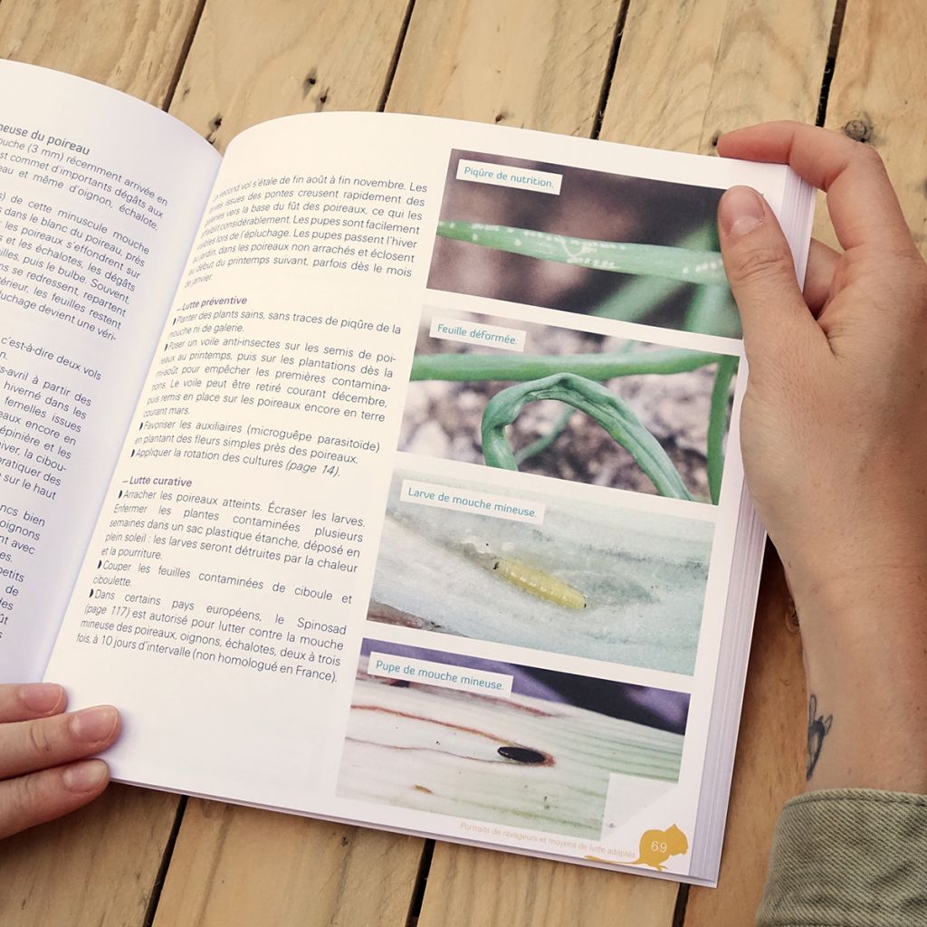 Stop aux ravageurs dans mon jardin !