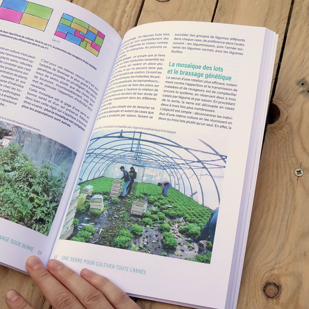 Une serre pour récolter toute l'année