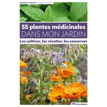 55 plantes médicinales dans mon jardin