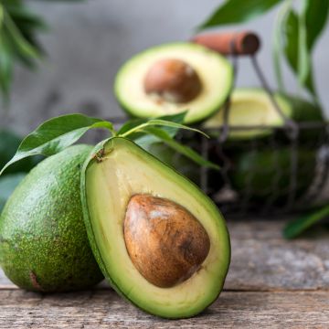 Psidium cattleianum - Goyavier de Cattley ou de Chine