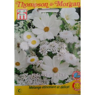 Graines de Fleurs de Rêve Blanc