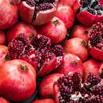 Grenadier à fruits - Punica granatum Black Fruit