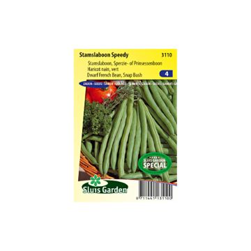 Haricot nain mangetout Speedy - Phaseolus vulgaris