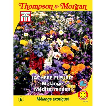 Graines de Fleurs sauvages - Mélange Méditerranéen