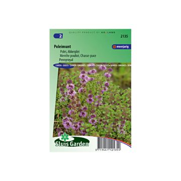 Menthe Pouliot (Graines) - Mentha pulegium