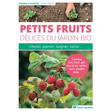 Petits fruits, délices du jardin bio