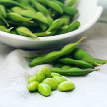 Soja potager Fiskeby V