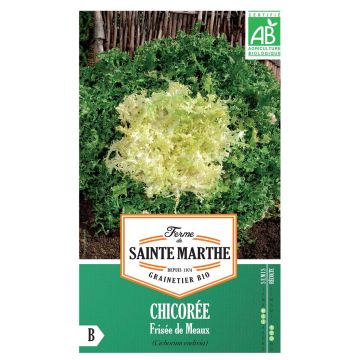 Chicorée frisée De Meaux AB -Ferme de Ste Marthe