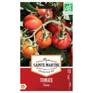 Tomate Cerise AB - Ferme de Ste Marthe