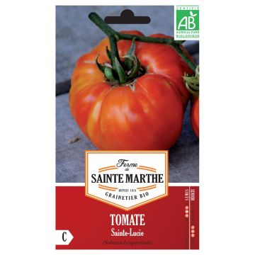Tomate Sainte Lucie AB - Ferme de Ste Marthe