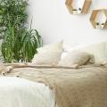 Plantes pour la chambre
